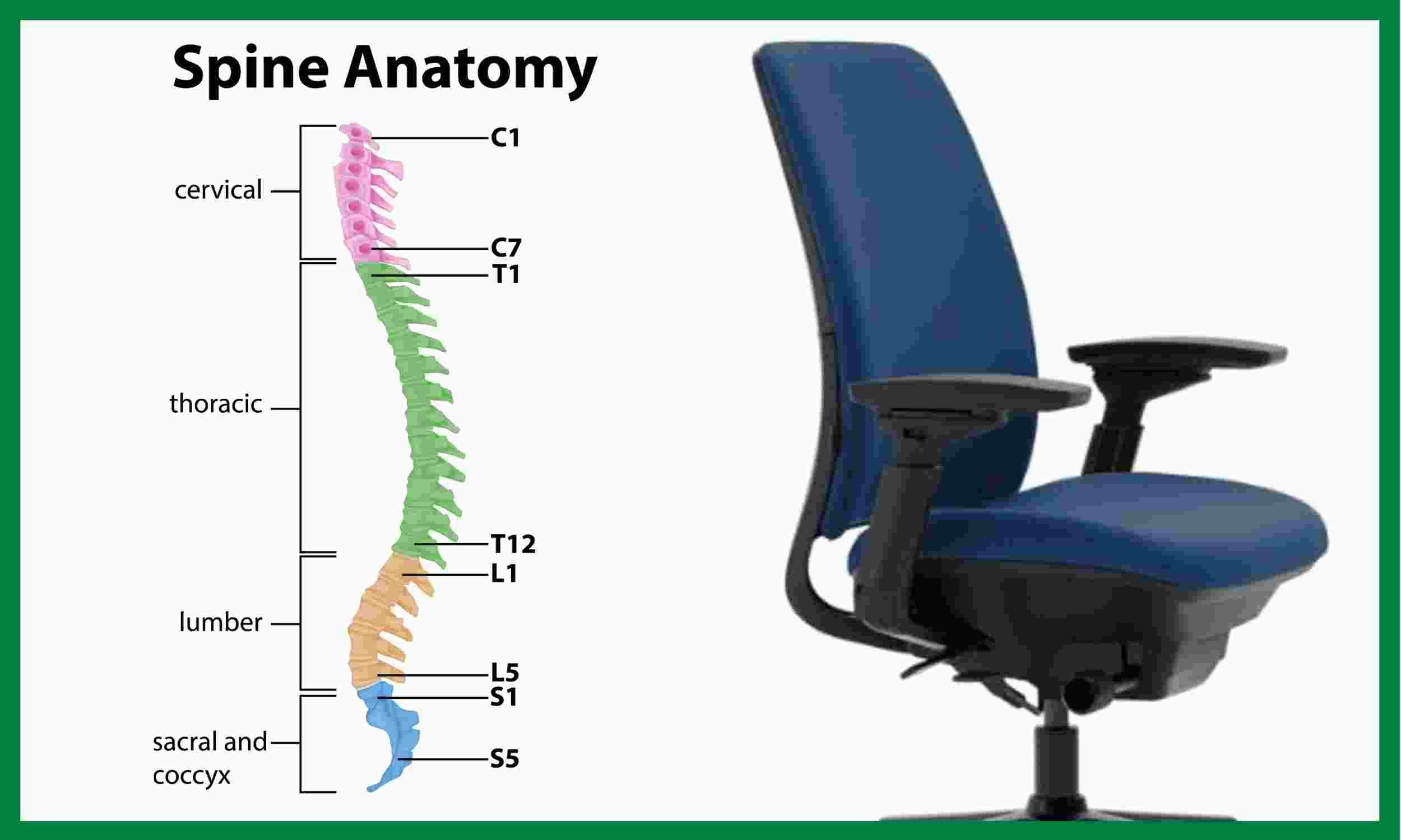 Best Home office Chair for coccyx pain